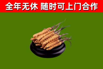 肥东县烟酒回收冬虫夏草.jpg
